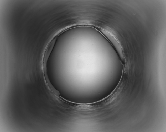 X0000090501342200707130942