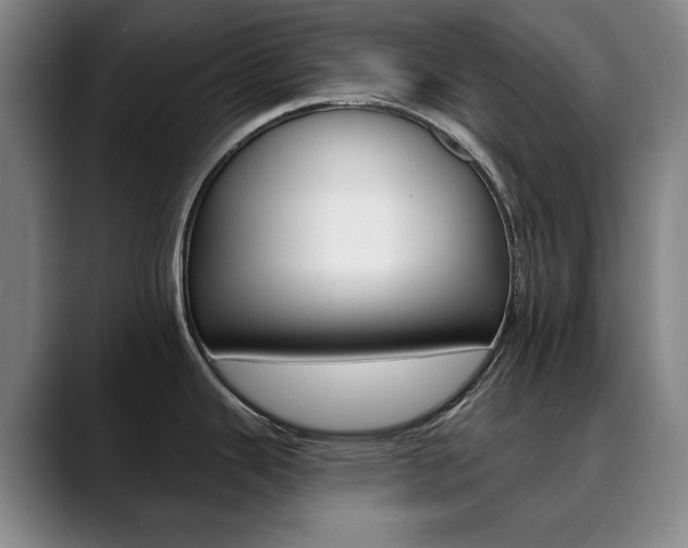 X0000090501343200707130942