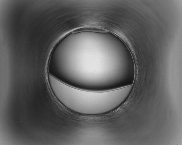 X0000090501344200707130942