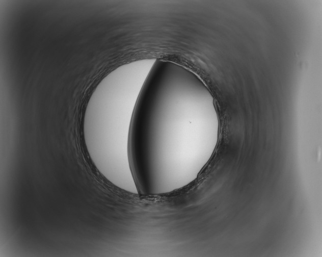 X0000090501345200707130942