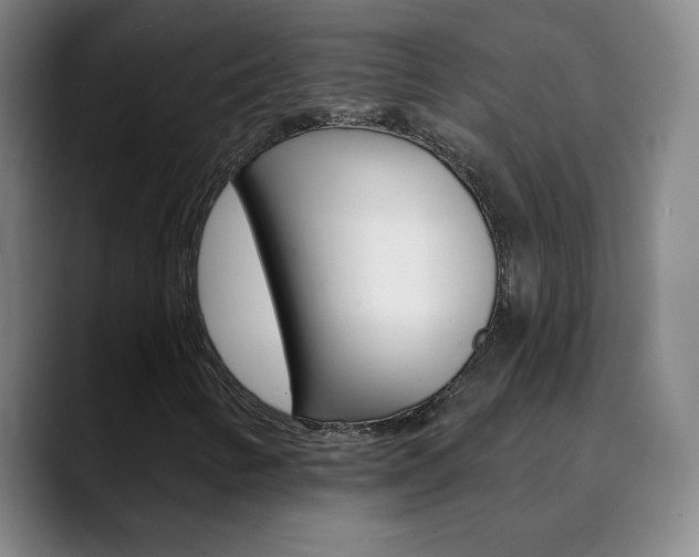 X0000090501346200707130942