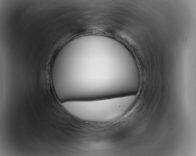 X0000090501354200707130941