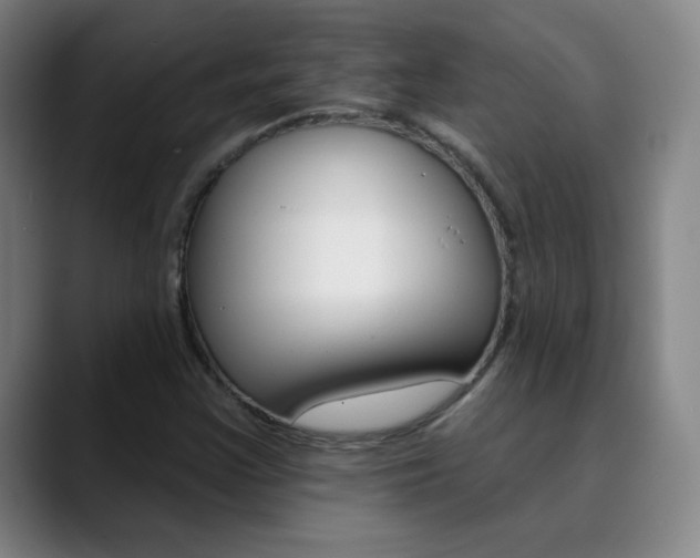 X0000090501355200707130941