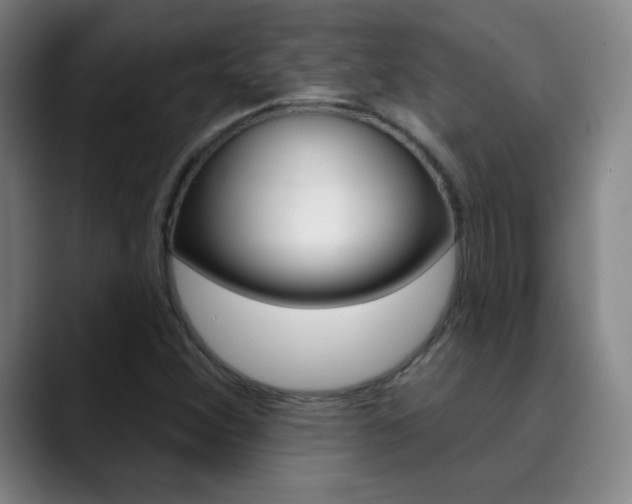 X0000090501356200707130941
