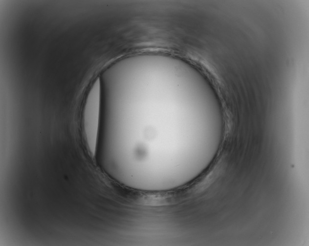 X0000090501357200707130941