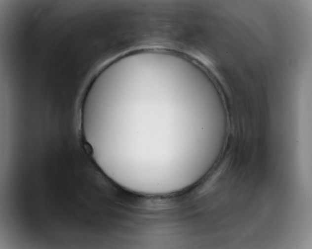 X0000090501366200707130941