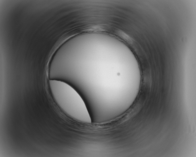 X0000090501370200707130941