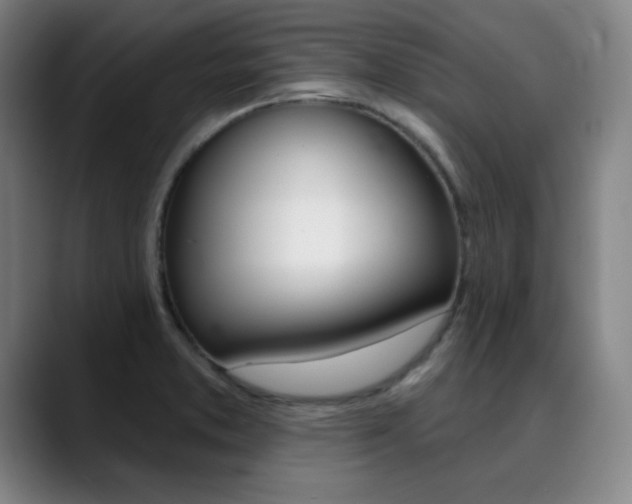 X0000090501373200707130941