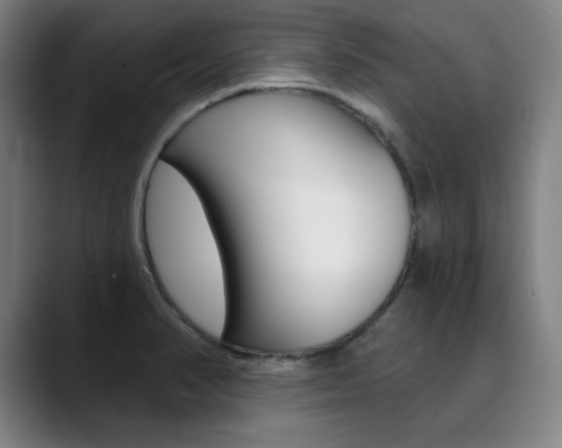 X0000090501374200707130941