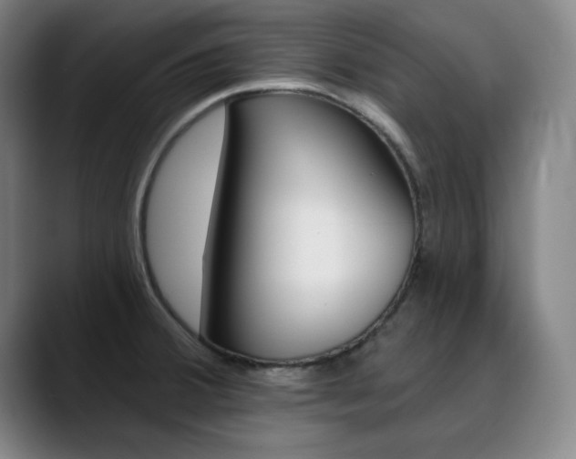 X0000090501380200707130941