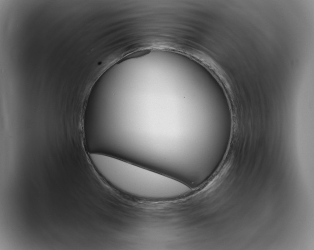 X0000090501385200707130941