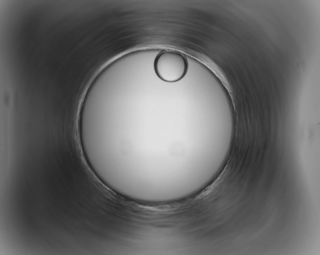 X0000090501388200707130941