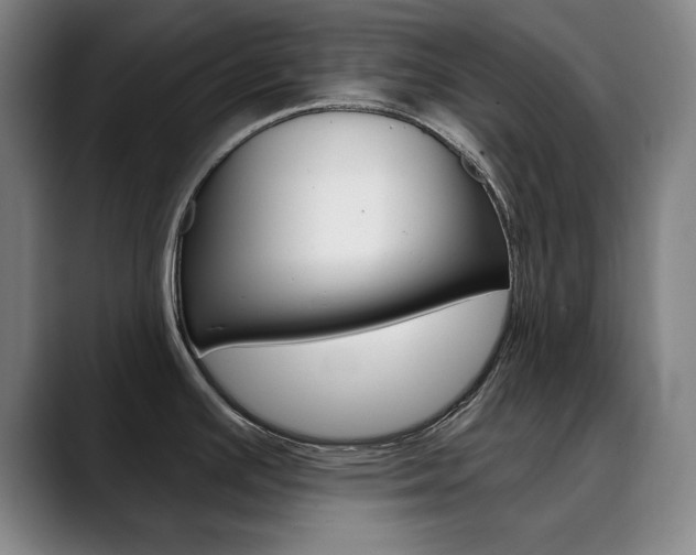 X0000090501391200707130941