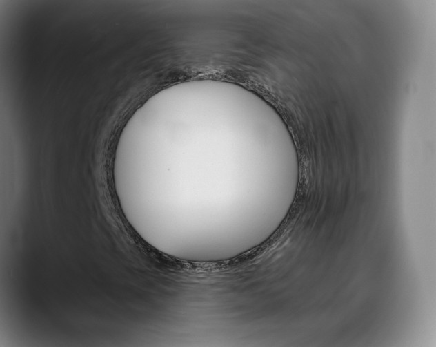 X0000090501393200707130940