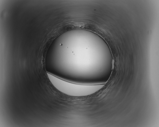X0000090501394200707130940