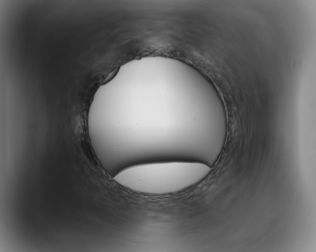 X0000090501397200707130940