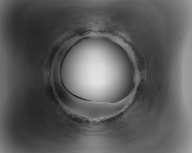 X0000090501398200707130940