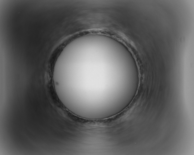 X0000090501400200707130940