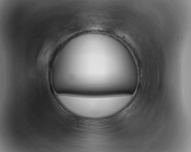 X0000090501404200707130940