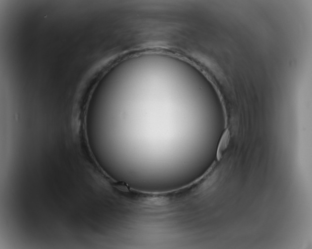 X0000090501406200707130940