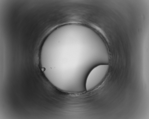 X0000090501415200707130941