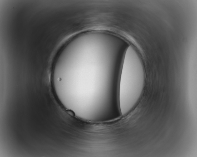 X0000090501416200707130941