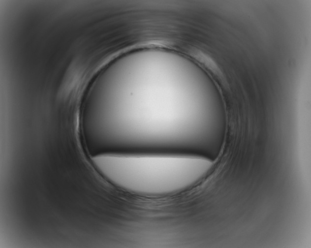 X0000090501420200707130941
