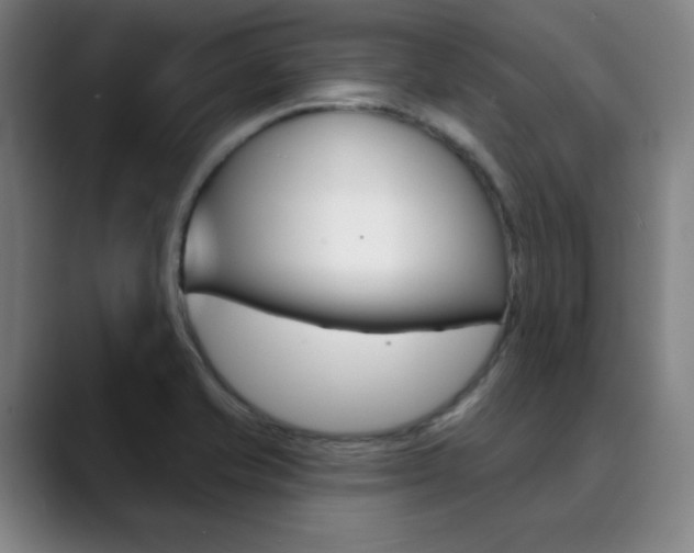 X0000090501421200707130941