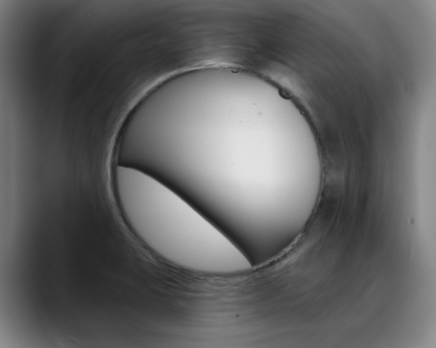 X0000090501423200707130941