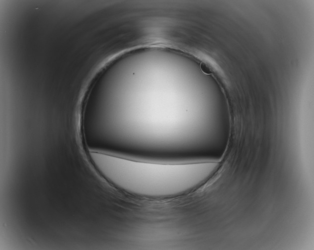 X0000090501424200707130941