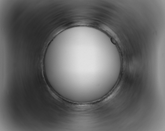 X0000090501425200707130941
