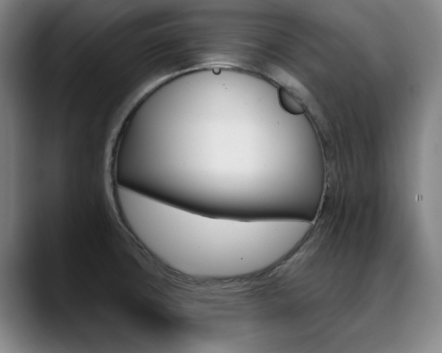 X0000090501427200707130941