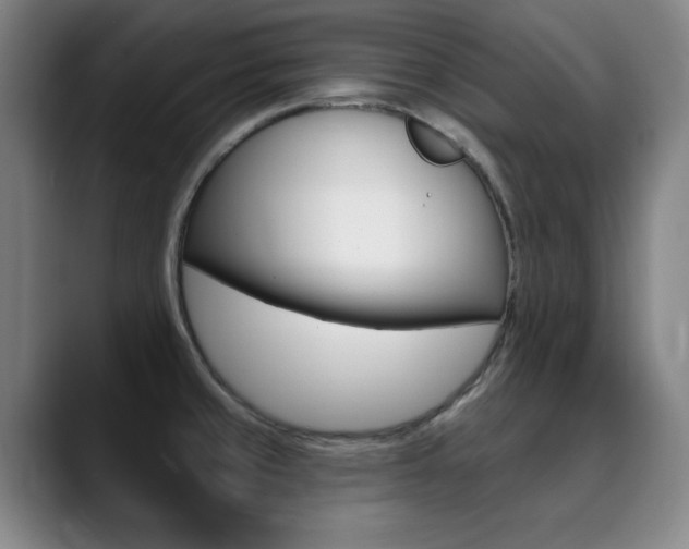X0000090501429200707130941