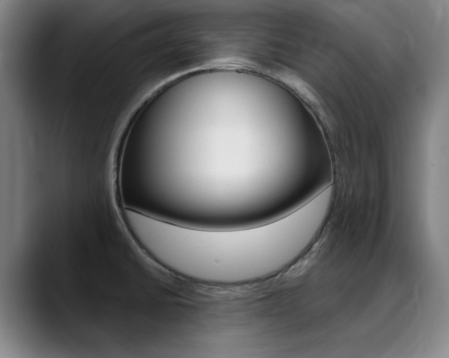 X0000090501430200707130941
