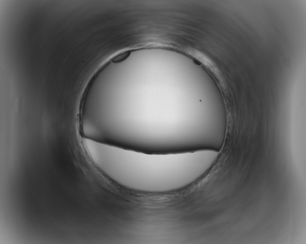 X0000090501431200707130941