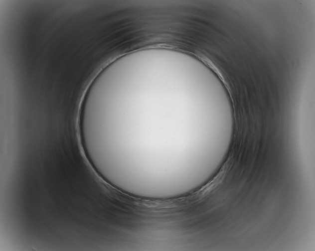 X0000090501434200707130941