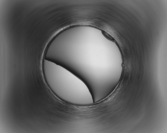 X0000090501436200707130941