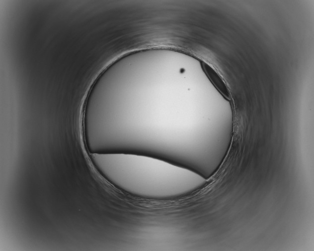 X0000090501439200707130941