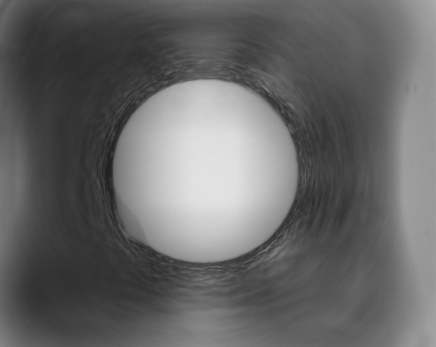 X0000090501441200707130940