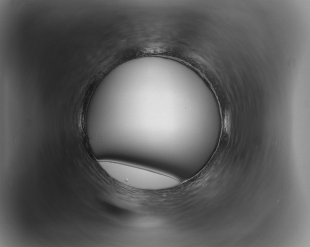 X0000090501444200707130940