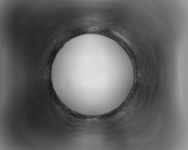 X0000090501447200707130940