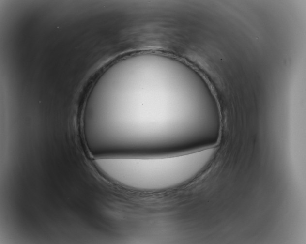 X0000090501452200707130940