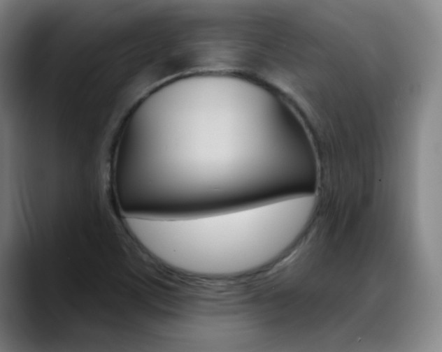 X0000090501459200707130940