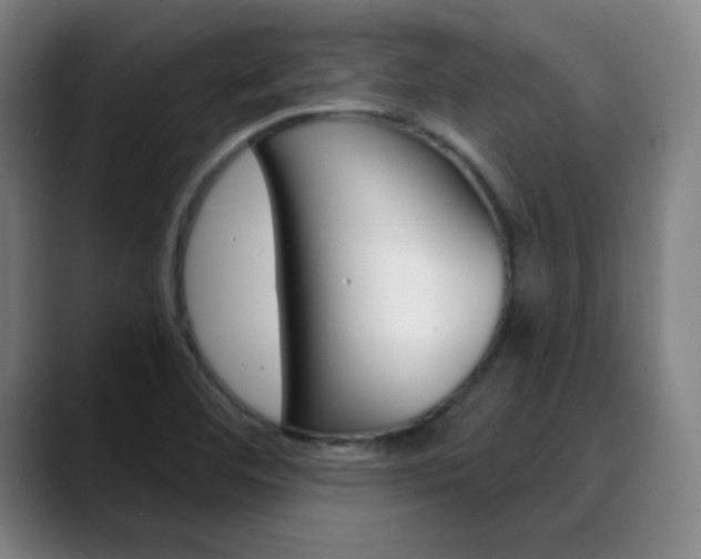 X0000090501460200707130940