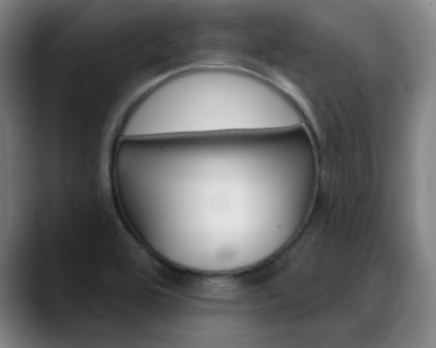 X0000090501464200707130940