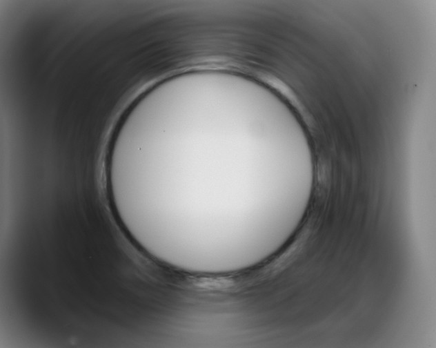 X0000090501466200707130940