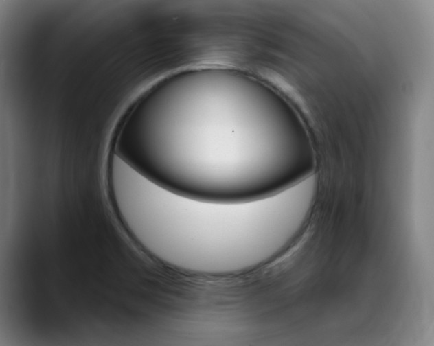 X0000090501469200707130940