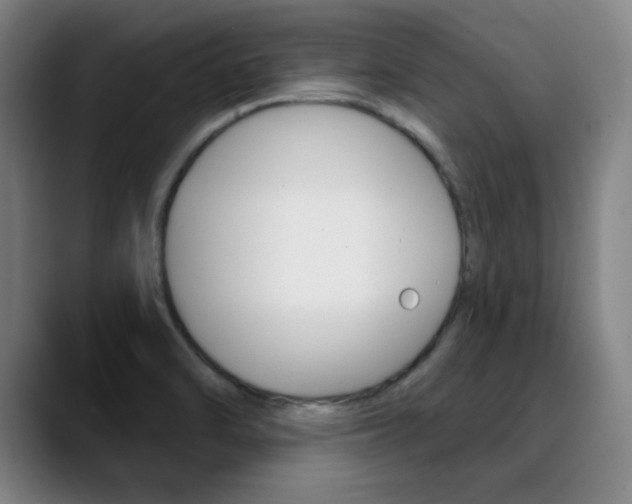 X0000090501470200707130940