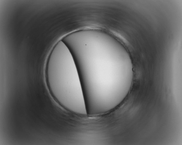 X0000090501471200707130940