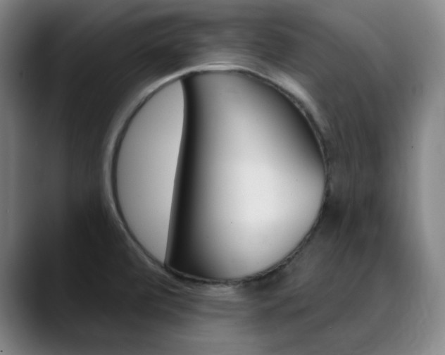 X0000090501472200707130940
